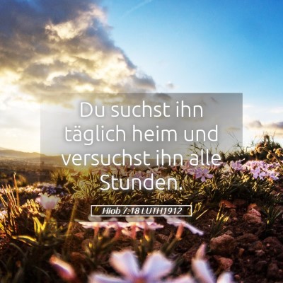 Picture 05 - Hiob 7:18 LUTH1912 - Du suchst ihn täglich heim und versuchst ihn - Bible Verse Picture