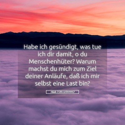 Picture 05 - Hiob 7:20 LUTH1912 - Habe ich gesündigt, was tue ich dir damit, o du - Bible Verse Picture
