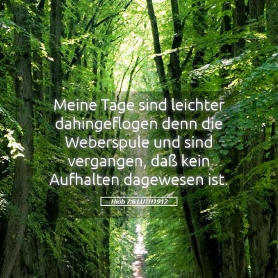 Picture 05 - Hiob 7:6 LUTH1912 - Meine Tage sind leichter dahingeflogen denn die - Bible Verse Picture