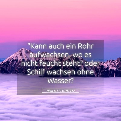 Picture 05 - Hiob 8:11 LUTH1912 - “Kann auch ein Rohr aufwachsen, wo es nicht - Bible Verse Picture