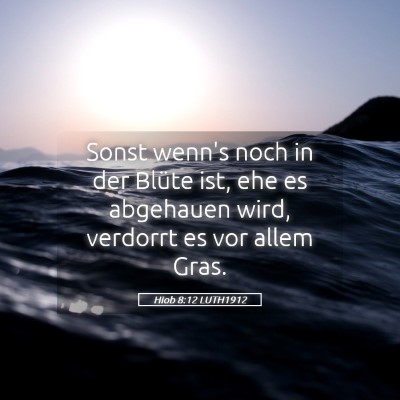 Picture 05 - Hiob 8:12 LUTH1912 - Sonst wenn's noch in der Blüte ist, ehe es - Bible Verse Picture