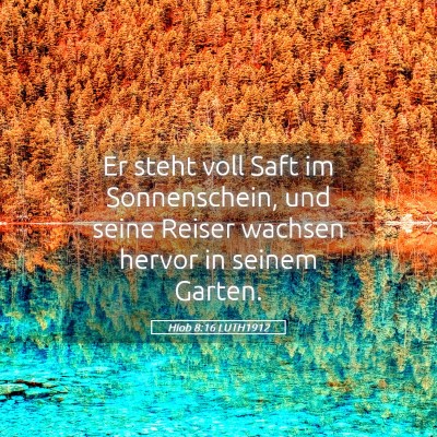 Picture 05 - Hiob 8:16 LUTH1912 - Er steht voll Saft im Sonnenschein, und seine - Bible Verse Picture