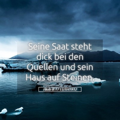 Picture 05 - Hiob 8:17 LUTH1912 - Seine Saat steht dick bei den Quellen und sein - Bible Verse Picture