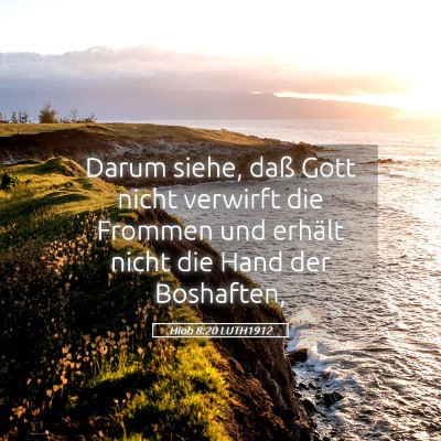 Picture 05 - Hiob 8:20 LUTH1912 - Darum siehe, daß Gott nicht verwirft die Frommen - Bible Verse Picture
