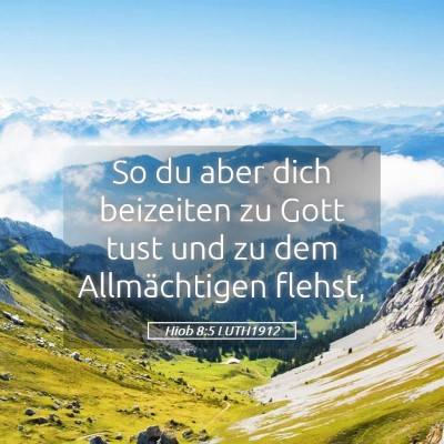 Picture 05 - Hiob 8:5 LUTH1912 - So du aber dich beizeiten zu Gott tust und zu dem - Bible Verse Picture
