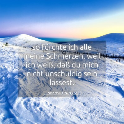 Picture 05 - Hiob 9:28 LUTH1912 - so fürchte ich alle meine Schmerzen, weil ich - Bible Verse Picture