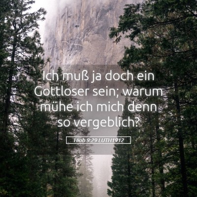 Picture 05 - Hiob 9:29 LUTH1912 - Ich muß ja doch ein Gottloser sein; warum mühe - Bible Verse Picture
