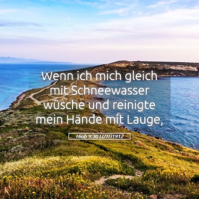 Picture 05 - Hiob 9:30 LUTH1912 - Wenn ich mich gleich mit Schneewasser wüsche und - Bible Verse Picture