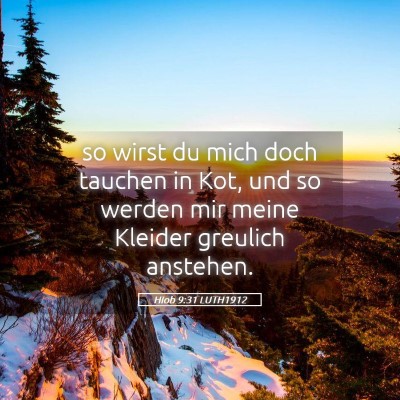 Picture 05 - Hiob 9:31 LUTH1912 - so wirst du mich doch tauchen in Kot, und so - Bible Verse Picture