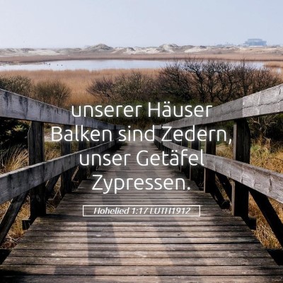 Picture 05 - Hohelied 1:17 LUTH1912 - unserer Häuser Balken sind Zedern, unser - Bible Verse Picture