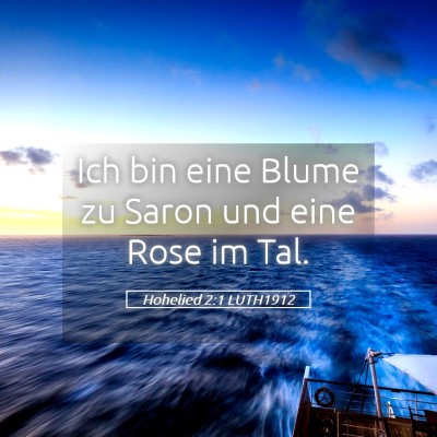 Picture 05 - Hohelied 2:1 LUTH1912 - Ich bin eine Blume zu Saron und eine Rose im - Bible Verse Picture