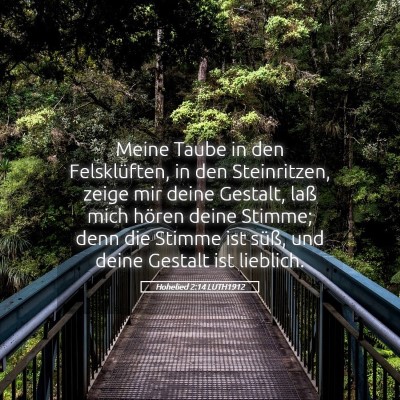 Picture 05 - Hohelied 2:14 LUTH1912 - Meine Taube in den Felsklüften, in den - Bible Verse Picture