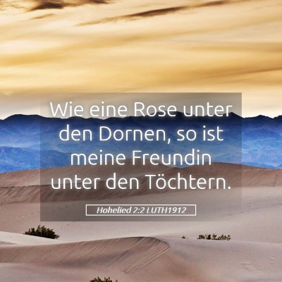 Picture 05 - Hohelied 2:2 LUTH1912 - Wie eine Rose unter den Dornen, so ist meine - Bible Verse Picture