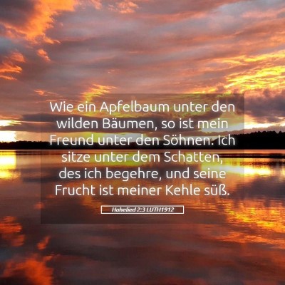 Picture 05 - Hohelied 2:3 LUTH1912 - Wie ein Apfelbaum unter den wilden Bäumen, so - Bible Verse Picture