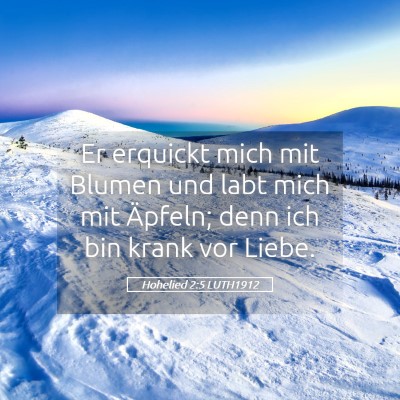 Picture 05 - Hohelied 2:5 LUTH1912 - Er erquickt mich mit Blumen und labt mich mit - Bible Verse Picture
