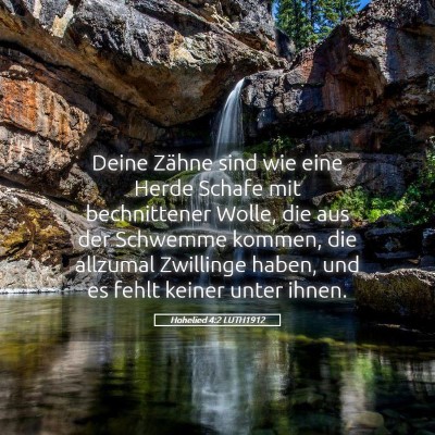 Picture 05 - Hohelied 4:2 LUTH1912 - Deine Zähne sind wie eine Herde Schafe mit - Bible Verse Picture