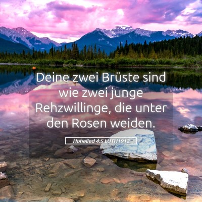 Picture 05 - Hohelied 4:5 LUTH1912 - Deine zwei Brüste sind wie zwei junge - Bible Verse Picture