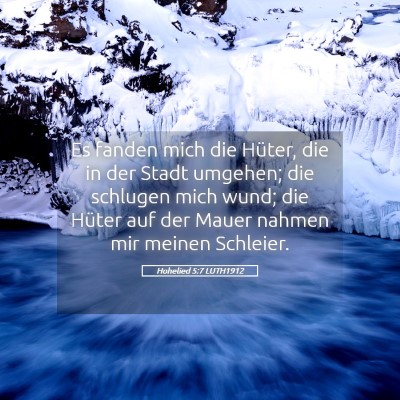 Picture 05 - Hohelied 5:7 LUTH1912 - Es fanden mich die Hüter, die in der Stadt - Bible Verse Picture