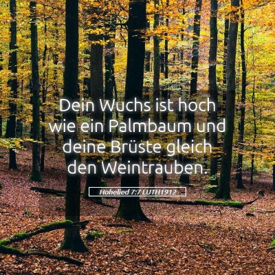 Picture 05 - Hohelied 7:7 LUTH1912 - Dein Wuchs ist hoch wie ein Palmbaum und deine - Bible Verse Picture