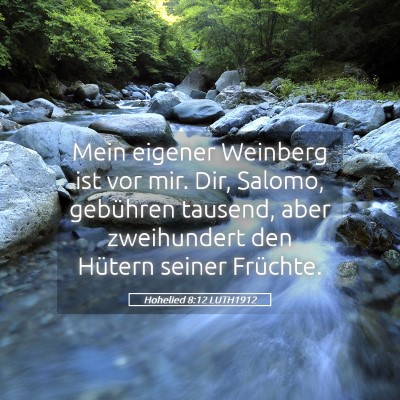 Picture 05 - Hohelied 8:12 LUTH1912 - Mein eigener Weinberg ist vor mir. Dir, Salomo, - Bible Verse Picture