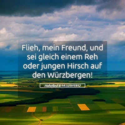 Picture 05 - Hohelied 8:14 LUTH1912 - Flieh, mein Freund, und sei gleich einem Reh oder - Bible Verse Picture