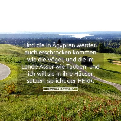 Picture 05 - Hosea 11:11 LUTH1912 - Und die in Ägypten werden auch erschrocken - Bible Verse Picture