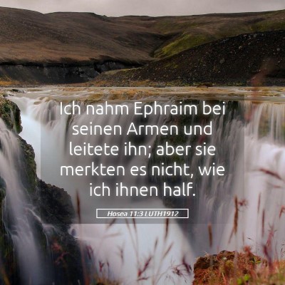 Picture 05 - Hosea 11:3 LUTH1912 - Ich nahm Ephraim bei seinen Armen und leitete - Bible Verse Picture