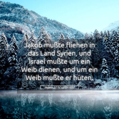 Picture 05 - Hosea 12:12 LUTH1912 - Jakob mußte fliehen in das Land Syrien, und - Bible Verse Picture