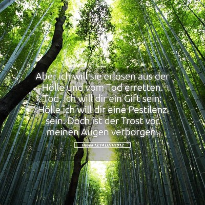 Picture 05 - Hosea 13:14 LUTH1912 - Aber ich will sie erlösen aus der Hölle und vom - Bible Verse Picture