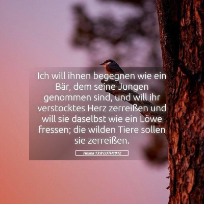 Picture 05 - Hosea 13:8 LUTH1912 - Ich will ihnen begegnen wie ein Bär, dem seine - Bible Verse Picture