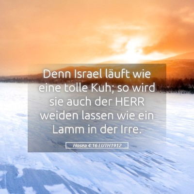 Picture 05 - Hosea 4:16 LUTH1912 - Denn Israel läuft wie eine tolle Kuh; so wird - Bible Verse Picture