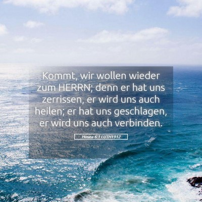 Picture 05 - Hosea 6:1 LUTH1912 - Kommt, wir wollen wieder zum HERRN; denn er hat - Bible Verse Picture