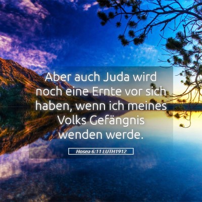 Picture 05 - Hosea 6:11 LUTH1912 - Aber auch Juda wird noch eine Ernte vor sich - Bible Verse Picture