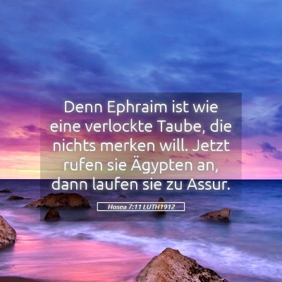 Picture 05 - Hosea 7:11 LUTH1912 - Denn Ephraim ist wie eine verlockte Taube, die - Bible Verse Picture