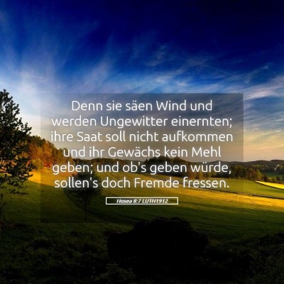 Picture 05 - Hosea 8:7 LUTH1912 - Denn sie säen Wind und werden Ungewitter - Bible Verse Picture