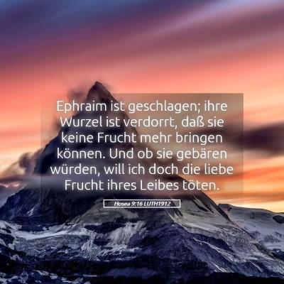 Picture 05 - Hosea 9:16 LUTH1912 - Ephraim ist geschlagen; ihre Wurzel ist verdorrt, - Bible Verse Picture
