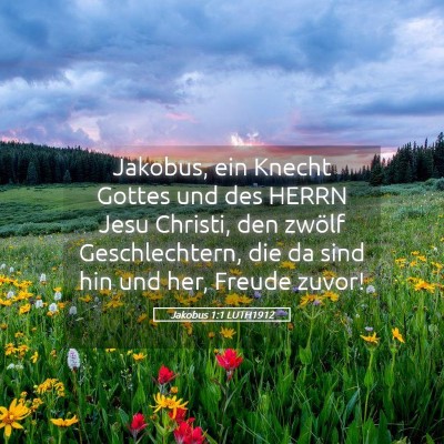 Picture 05 - Jakobus 1:1 LUTH1912 - Jakobus, ein Knecht Gottes und des HERRN Jesu - Bible Verse Picture