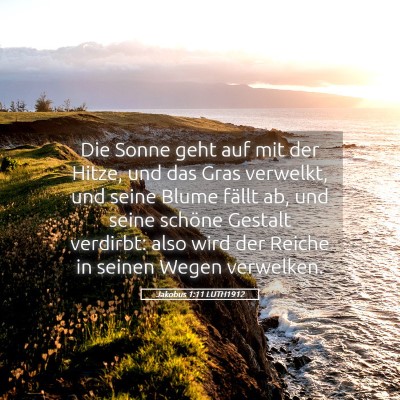 Picture 05 - Jakobus 1:11 LUTH1912 - Die Sonne geht auf mit der Hitze, und das Gras - Bible Verse Picture