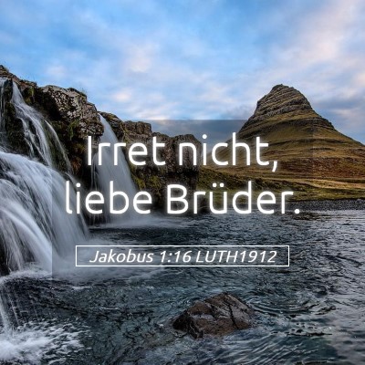 Picture 05 - Jakobus 1:16 LUTH1912 - Irret nicht, liebe - Bible Verse Picture