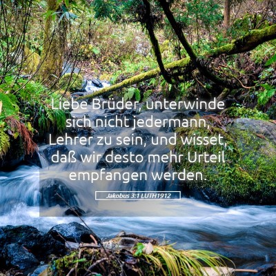 Picture 05 - Jakobus 3:1 LUTH1912 - Liebe Brüder, unterwinde sich nicht jedermann, - Bible Verse Picture