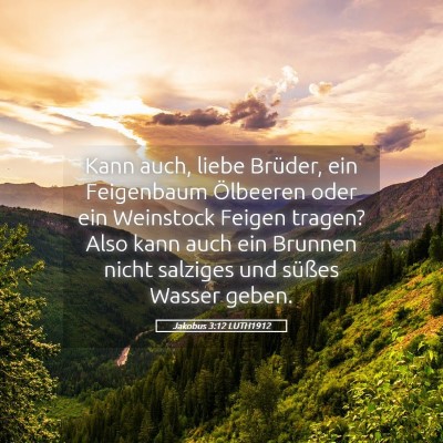 Picture 05 - Jakobus 3:12 LUTH1912 - Kann auch, liebe Brüder, ein Feigenbaum - Bible Verse Picture
