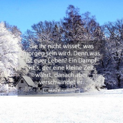 Picture 05 - Jakobus 4:14 LUTH1912 - die ihr nicht wisset, was morgen sein wird. Denn - Bible Verse Picture