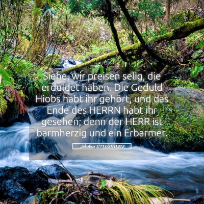 Picture 05 - Jakobus 5:11 LUTH1912 - Siehe, wir preisen selig, die erduldet haben. Die - Bible Verse Picture