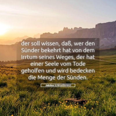 Picture 05 - Jakobus 5:20 LUTH1912 - der soll wissen, daß, wer den Sünder bekehrt - Bible Verse Picture