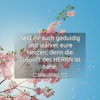 Picture 05 - Jakobus 5:8 LUTH1912 - Seid ihr auch geduldig und stärket eure Herzen; - Bible Verse Picture