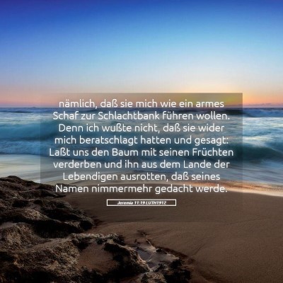 Picture 05 - Jeremia 11:19 LUTH1912 - nämlich, daß sie mich wie ein armes Schaf zur - Bible Verse Picture