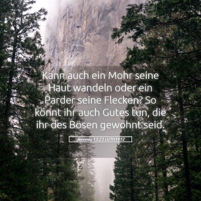 Picture 05 - Jeremia 13:23 LUTH1912 - Kann auch ein Mohr seine Haut wandeln oder ein - Bible Verse Picture