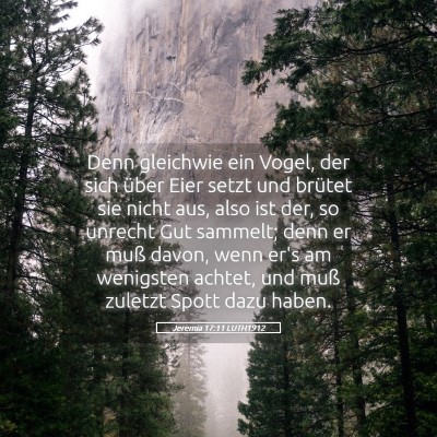 Picture 05 - Jeremia 17:11 LUTH1912 - Denn gleichwie ein Vogel, der sich über Eier - Bible Verse Picture
