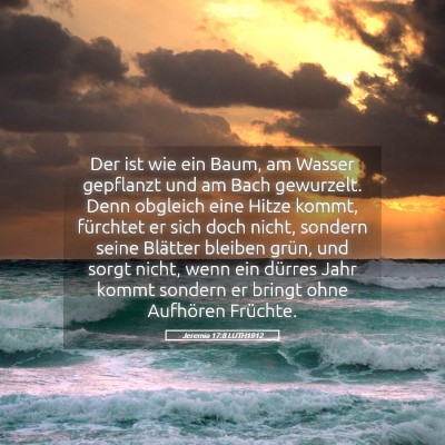 Picture 05 - Jeremia 17:8 LUTH1912 - Der ist wie ein Baum, am Wasser gepflanzt und am - Bible Verse Picture