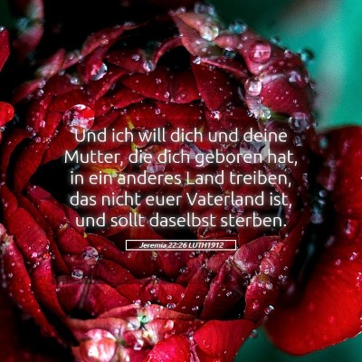 Picture 05 - Jeremia 22:26 LUTH1912 - Und ich will dich und deine Mutter, die dich - Bible Verse Picture